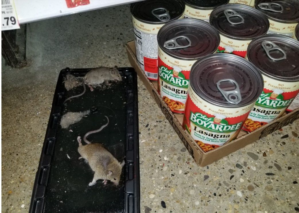 April 14 Kroger inspection